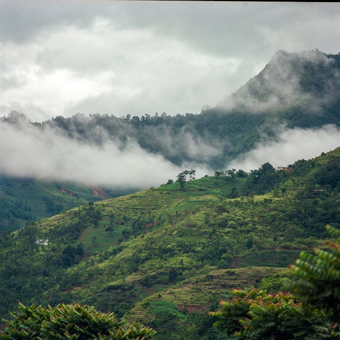 pexels photo 27362180.jpeg