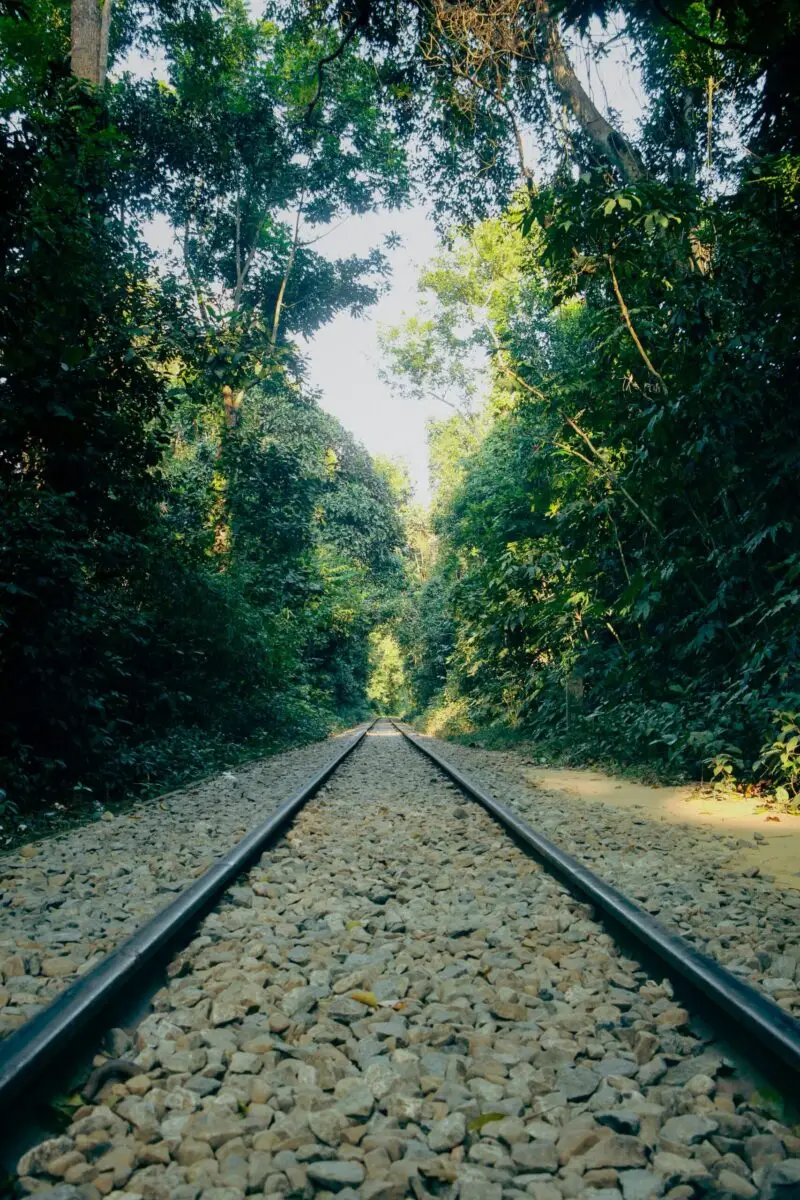 Free stock photo of asian tourism, bangladesh, green