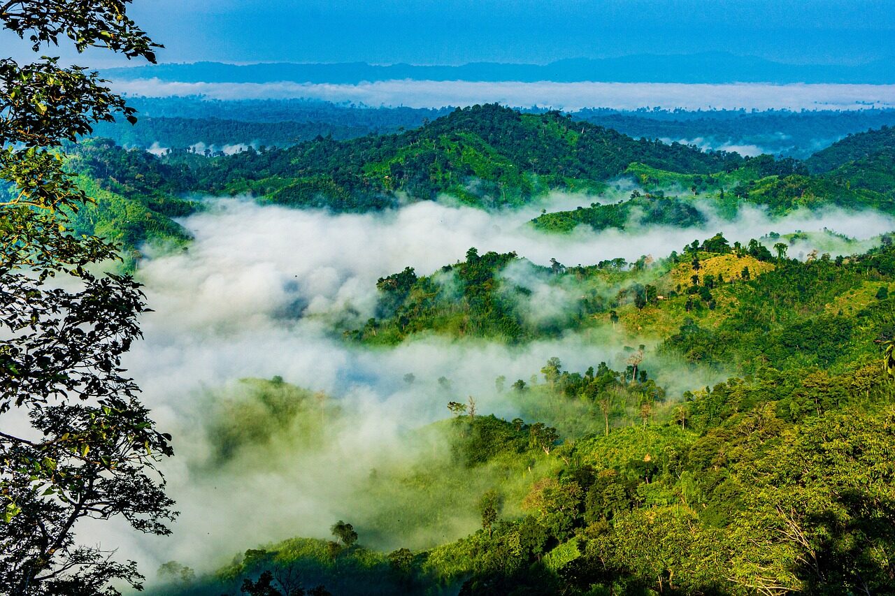bangladesh, nature, sajek, sky, landscape, mountain, trees, clouds, blue sky, blue