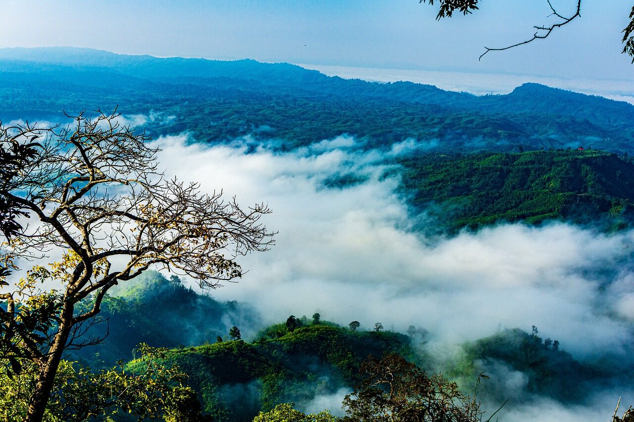 bangladesh, nature, sajek, sky, landscape, mountain, trees, clouds, blue sky, blue
